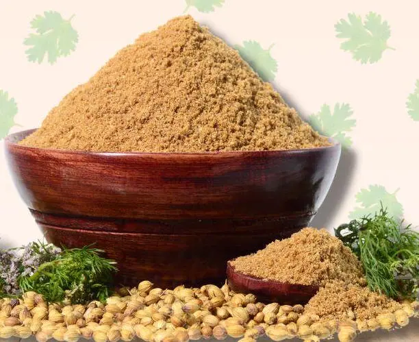 Buy Coriander Powder from Vrusco Food Surat
